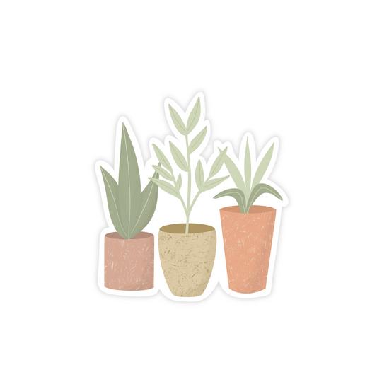 Sticker illustration of three potted plants in textured planters